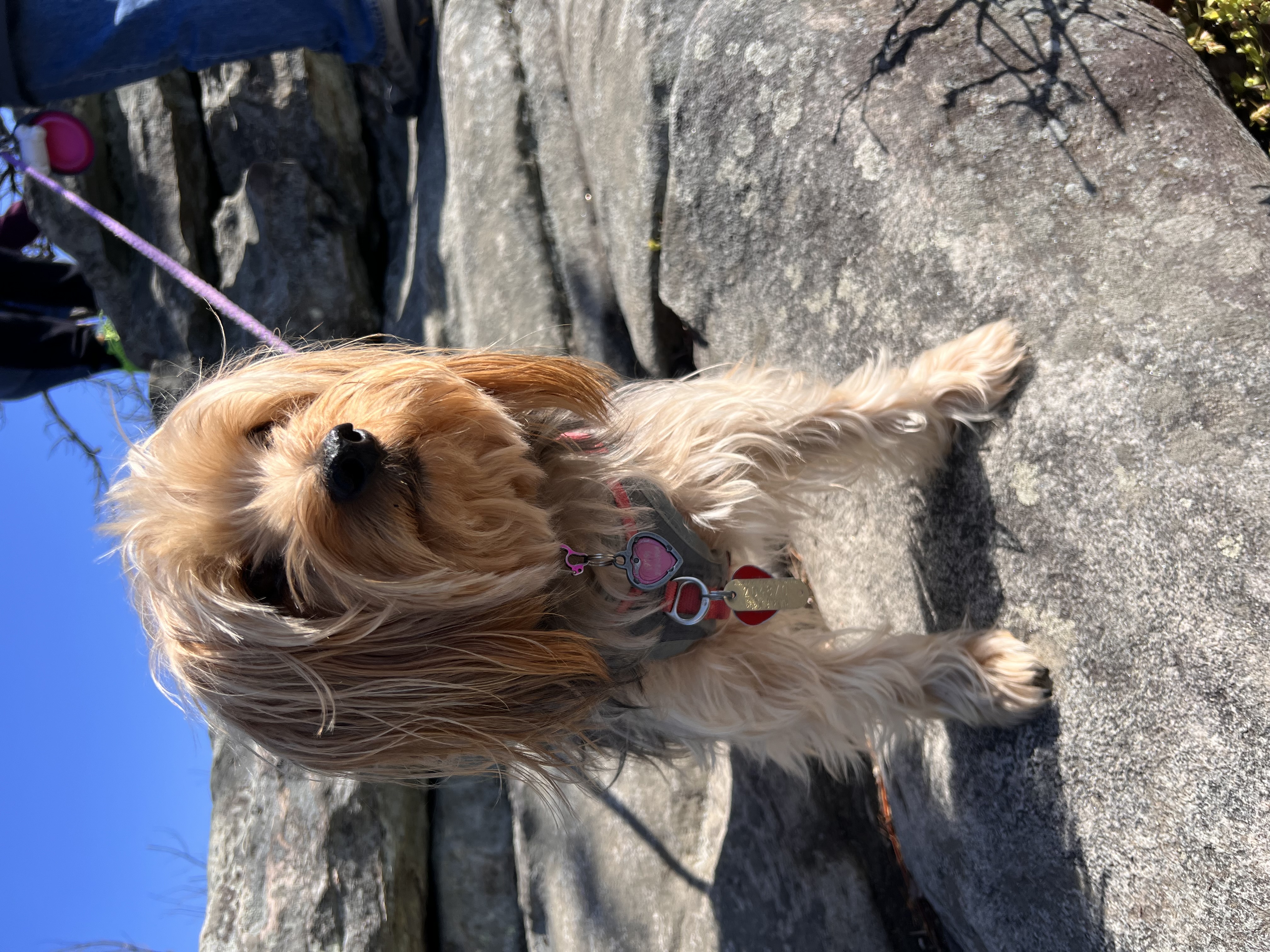 ./2023/05 - Toni Adventures/IMG_3021.JPG